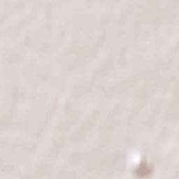 Camphin-en-Carembault Terrain Map