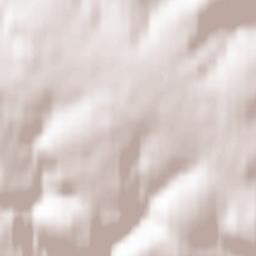 Neuhaus am Rennweg Terrain Map