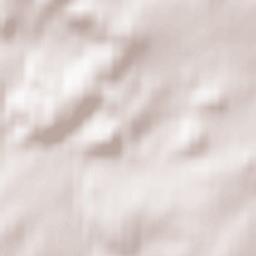 Neuensalz Terrain Map