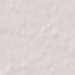 Pulyny Raion Terrain Map