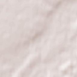 Radomyshl Terrain Map