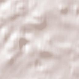 Ruppach-Goldhausen Terrain Map