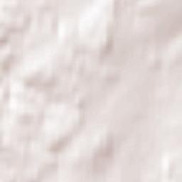 Neustadt Vogtland Terrain Map