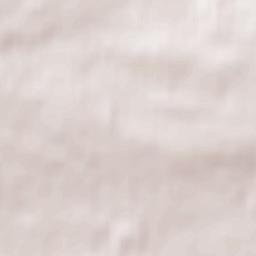 Busko-Zdrój Terrain Map