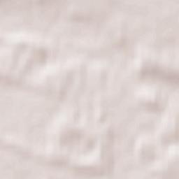 Bistriyivka Terrain Map