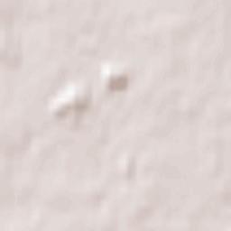 Svyatoshyns’kyy Rayon Terrain Map