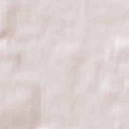 Trostyanets’ Terrain Map