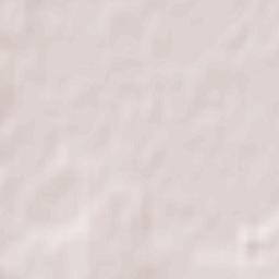 Pavlovsk Terrain Map