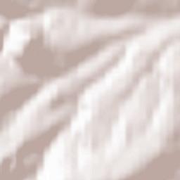 Oberzissen Terrain Map