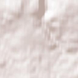 Grünbach Terrain Map