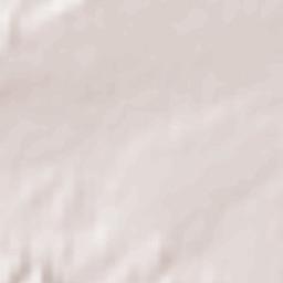 Kamienica Terrain Map