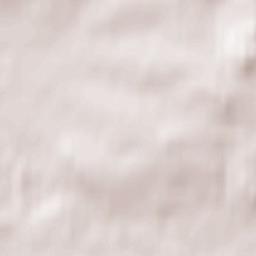 Ogrodzieniec Terrain Map