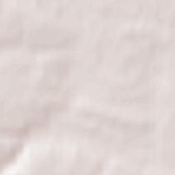 Stopnica Terrain Map