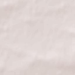 Oleśnica Terrain Map