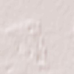 Nowa Dęba Terrain Map