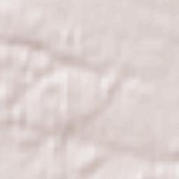 Tomaszów Lubelski Terrain Map