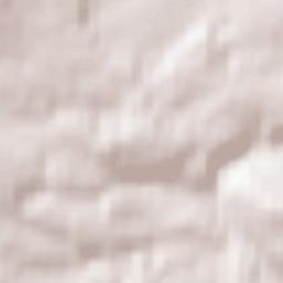 Niederelbert Terrain Map