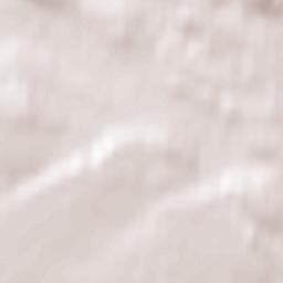 Bechlín Terrain Map