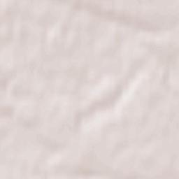 Darnytsia Raion Terrain Map