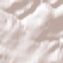 Neuhäusel Terrain Map