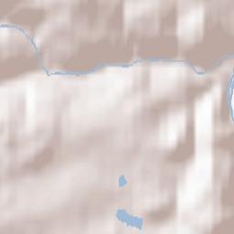 Lichtenberg Terrain Map