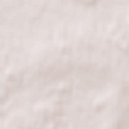 Majdan Królewski Terrain Map