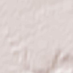 Gorodske Terrain Map