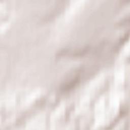 Bassenheim Terrain Map