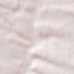 Miechów Terrain Map