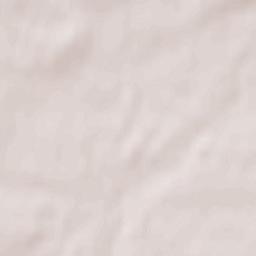 Berestechko Terrain Map