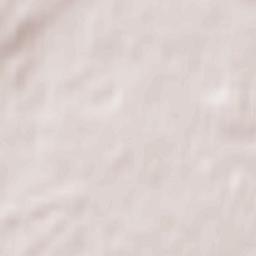 Lokhvytsia Terrain Map