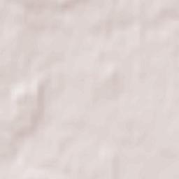 Novaya Tavolzhanka Terrain Map