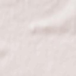 Selikhino Terrain Map