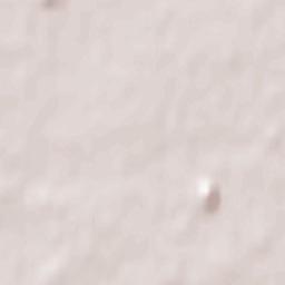 Escaudain Terrain Map