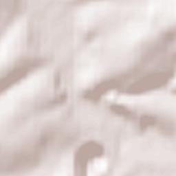 Niederneisen Terrain Map