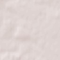 Większyce Terrain Map