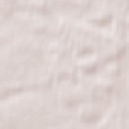 Lubycza Królewska Terrain Map