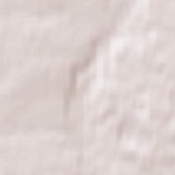 Korostyshiv Terrain Map