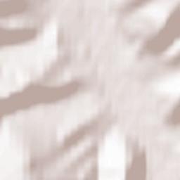 Kholtoson Terrain Map