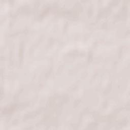 Zhytomyr Terrain Map