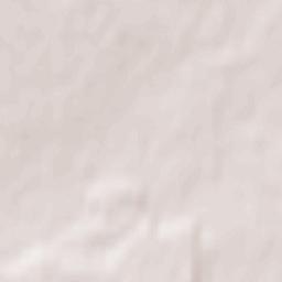 Brusyliv Terrain Map