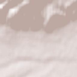 Ust’-Koksa Terrain Map