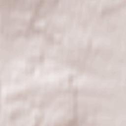 Friedrichsdorf Terrain Map