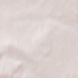 Všestary Terrain Map