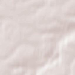 Pawłowiczki Terrain Map