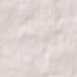 Brzóza Królewska Terrain Map