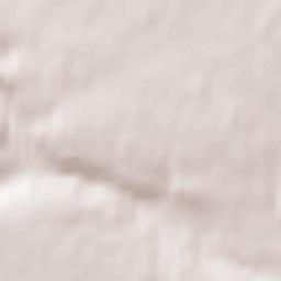 Zhytomyr Terrain Map