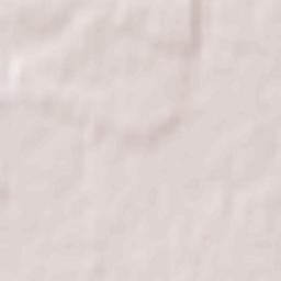 Brusylivs’kyy Rayon Terrain Map