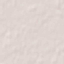 Radgoszcz Terrain Map