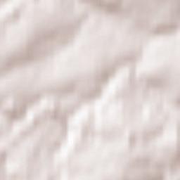 Nastätten Terrain Map